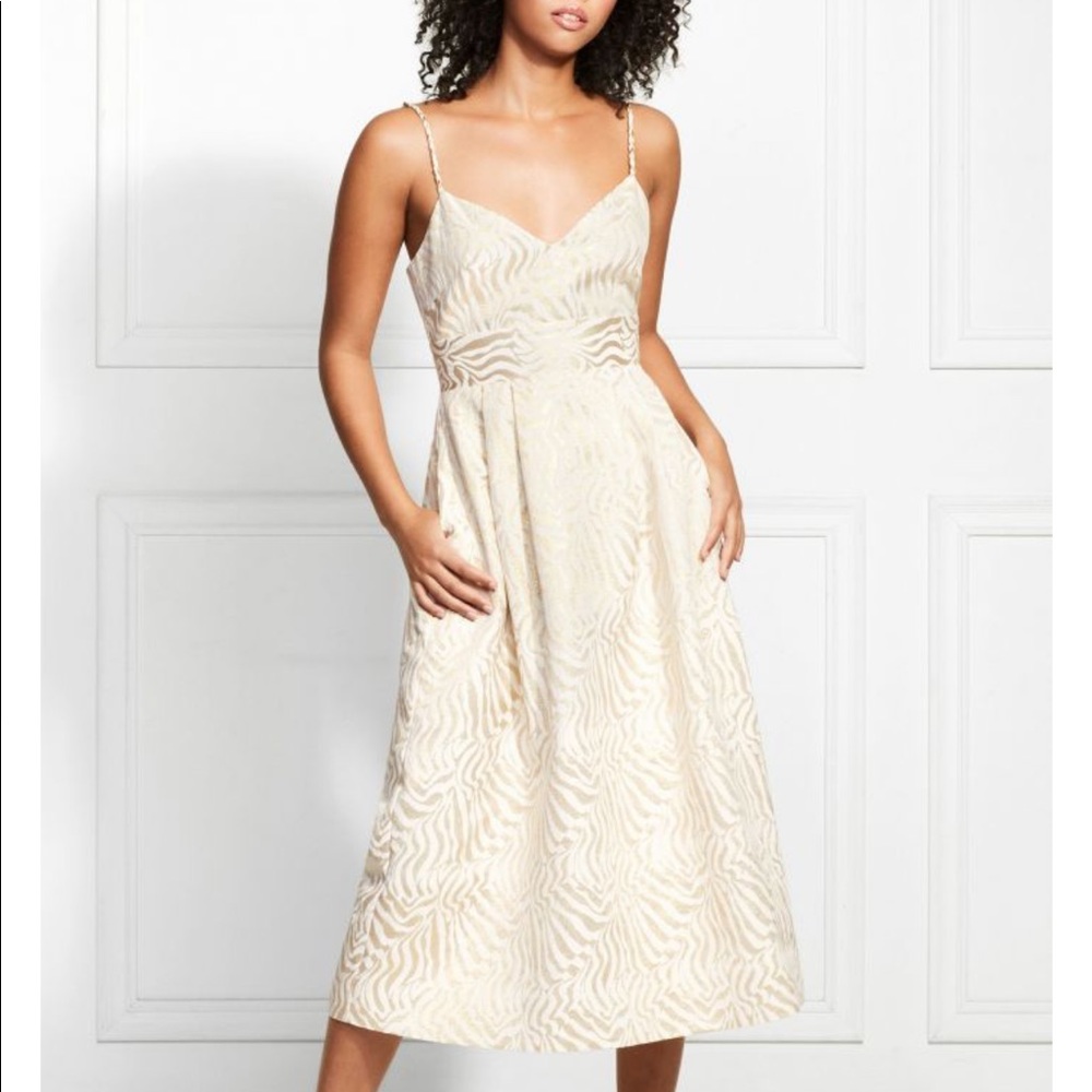 Rachel zoe zebra dress